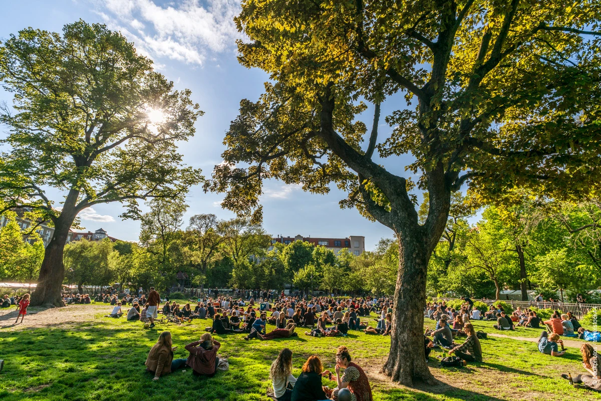 Friend Trips in Germany: Creative Cities, Local Flavors, and Outdoor Adventures 4